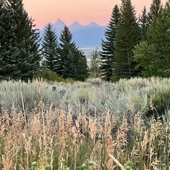 N/a - Picture 1 of 1